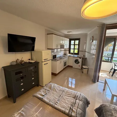 Apartman Parque Santiago 1, Sudio 316, Tenerife Dream Playa de las Américas
